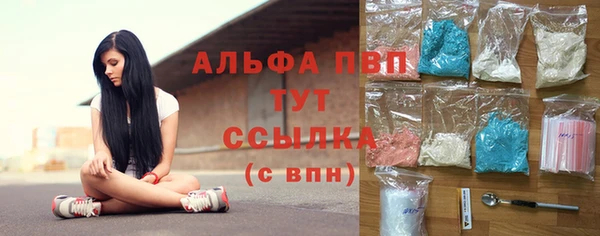 дживик Вязьма