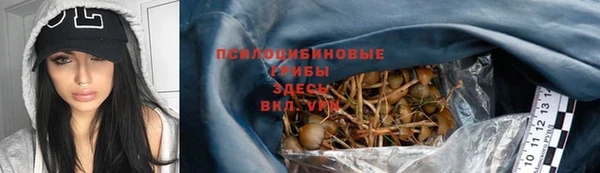 марки nbome Тавда