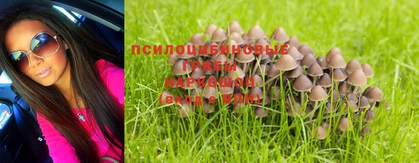 а пвп мука Верея