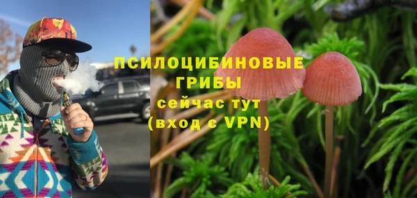 а пвп мука Верея