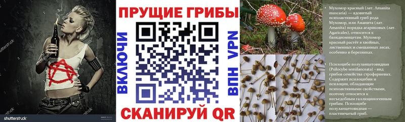 купить закладку  KRAKEN ССЫЛКА  Псилоцибиновые грибы Magic Shrooms  Енисейск 