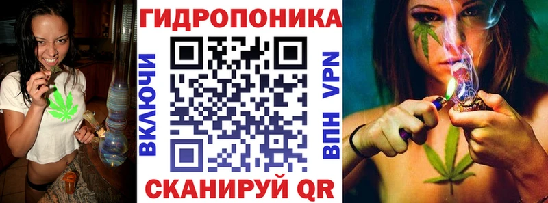 Конопля ГИДРОПОН  наркота  Енисейск 